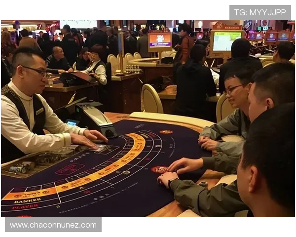 澳门百家乐庄闲对决策略,赢取丰厚筹码的实战经验总结